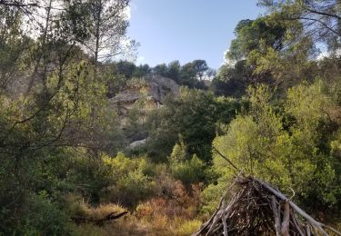 Excursión Senderismo Évenos - tres d'evenos - Photo