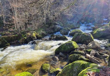 Tocht Stappen Luzenac - cabane  coumels - Photo