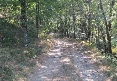 Trail Walking Prévenchères - BOUCLE AUTOUR DU CROUZET (PREVENCHERES) - Photo