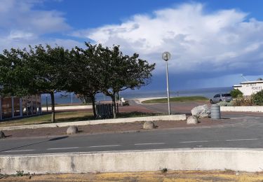 Excursión Senderismo Saint-Palais-sur-Mer - La balade de la grande Côte - Photo