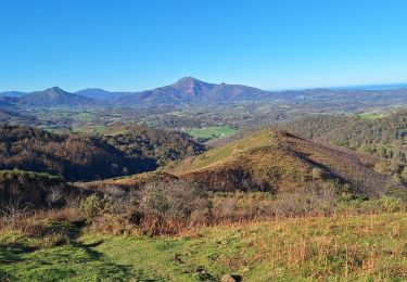 Trail Walking Urdazubi/Urdax - gorospil depuis dantxaria - Photo