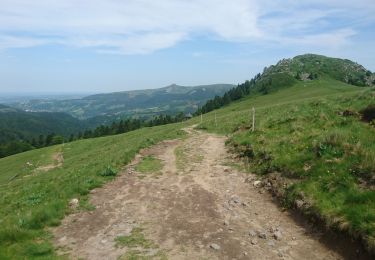 Randonnée Marche Mont-Dore - départ Capucin vers puy de Sancy en passant par le pas de l'âne retour chemin des artistes 2019-25-06  - Photo