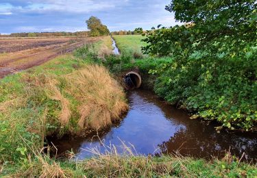 Trail On foot Fintel - Nordpfad 'Haxloher Erde' - Photo