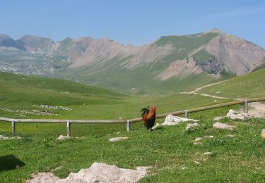 Percorso A piedi Ville d'Anaunia - Sentiero della Val Formiga - Photo
