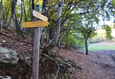Trail Walking Simiane-la-Rotonde - Simiane la rotonde  - Photo