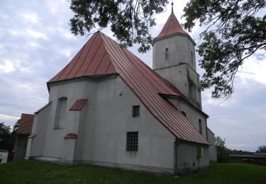 Excursión A pie Krzeczyn Mały - Dookoła Lubina - Photo