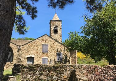 Tocht Stappen Riols - Riols - Notre-Dame-de-Tredos - Photo