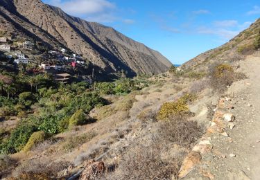 Tocht Stappen Vallehermoso - Vallehermoso - Cumbre de Chijeré - Photo