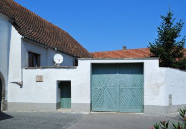 Percorso A piedi Gemeinde Mannersdorf am Leithagebirge - Mannersdorf - Purbach - Photo