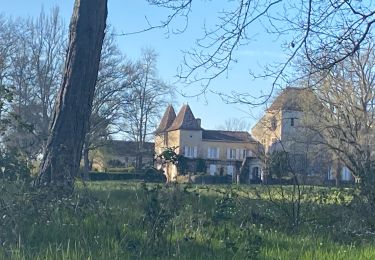 Tour Wandern Mauvezin-d'Armagnac - Mauvezin d’Armagnac réalisé  - Photo