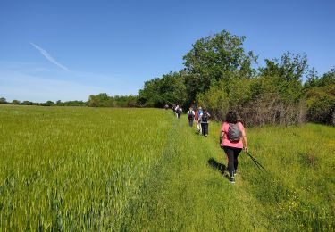 Randonnée Marche Étampes - base de loisirs d'Etampes - Photo