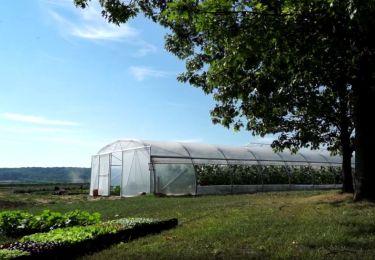 Tour Elektrofahrrad Ronse - Renaix - Ferme de la Rigaudière  - Photo