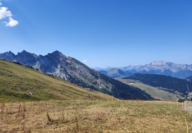 Tour Mountainbike La Clusaz - la Clusaz bike parc - Photo