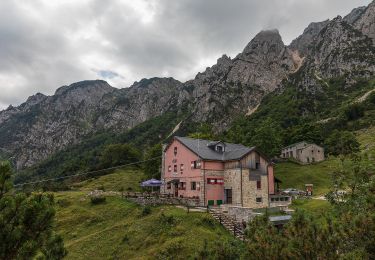 Randonnée A pied Recoaro Terme - Anello Ecoturistico Piccole Dolomiti 010 - Photo