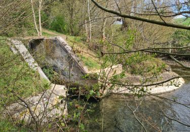 Excursión Senderismo Rouvroy - circuit rouvroy fonsomme croix fonsommes - Photo