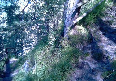 Randonnée A pied Gemeinde Söll - Wanderweg 58 - Wilder Kaiser - Photo