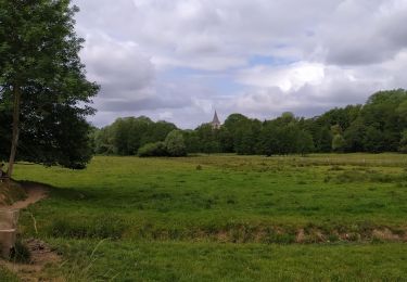 Tour Wandern Lasne - balade n 5 - Photo