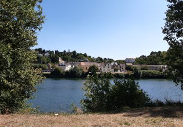 Randonnée Marche Maisons-Laffitte - Vers le bac d'Herblay - Photo