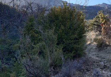 Tour Wandern Teyssières - la lance  insolite - Photo