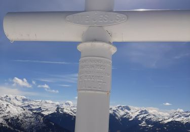 Excursión Raquetas de nieve Hauteluce - Les Saisies vers la Croix vue Mt Blanc - Photo