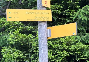 Trail Walking Pralognan-la-Vanoise - Pralognan : Bochor - Photo