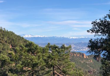 Tour Wandern Saint-Raphaël - Trayas Maure Vieil (A/R Trayas en final) - Photo