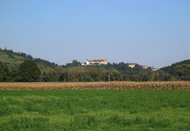 Trail On foot Kitzeck im Sausal - Heimschuher Runde Nord - Photo