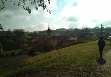 Percorso Marcia Montbozon - Montbozon 18 mars 2021  IBP 61  - Photo