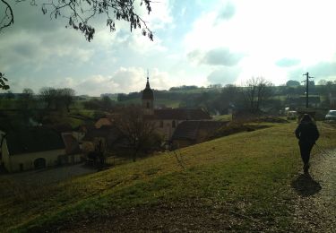 Trail Walking Montbozon - Montbozon 18 mars 2021  IBP 61  - Photo