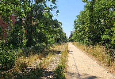 Tour Wandern Nogent-sur-Marne - 2023 06 25 - Photo