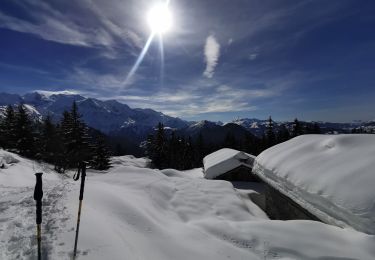 Trail Nordic walking Passy - rando chalet des ayeres  - Photo