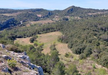 Trail Walking Villespassans - Assignan : garrigue et causses  - Photo