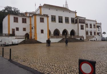 Randonnée A pied Sintra - Castelo - Photo