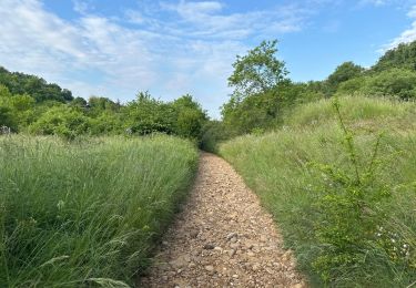 Trail Walking Saint-Bardoux - St bardoux 2025 - Photo