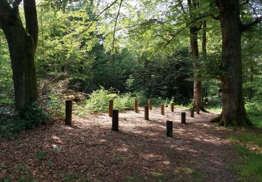 Trail Walking Champagney - parcours sportif des Épaisses à Champagney - Photo