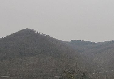 Tour Zu Fuß Bagno a Ripoli - Sentiero 0 – da Vallina a Poggio a Luco - Photo