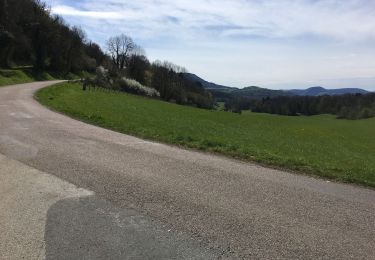 Trail Road bike Quingey - QUINGEY SAINT THIÉBAUD - Photo