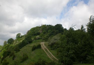 Tour Zu Fuß Ripoll - De Llaés al Castell de Milany - Photo