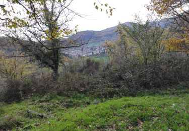 Excursión Senderismo Willer-sur-Thur - Willer Ostein - Photo