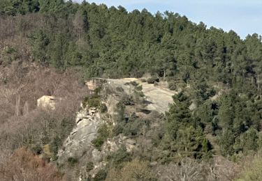 Excursión Senderismo Coux - Coux la Jaubernie  - Photo