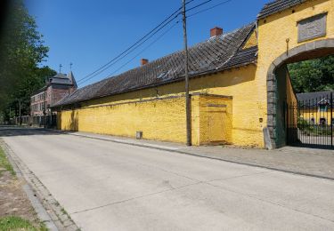 Tour Wandern Bergen - SAINT-DENIS/OBOURG _ Marche Adeps _ HT _ 25/06/2023. - Photo