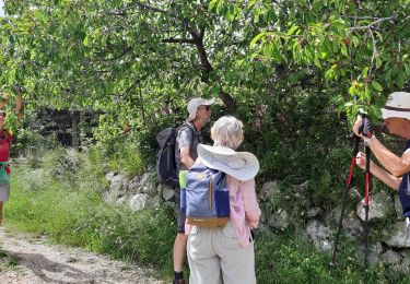 Tocht Stappen Gourdon - colle de rougięs - Photo