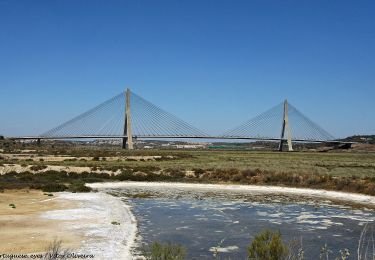 Trail On foot Castro Marim - Sapal de Venta Moinhos - Photo