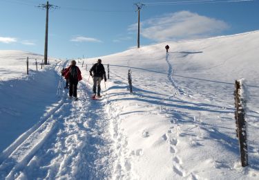 Randonnée Raquettes à neige Les Moussières - Les poussières raquettes - Photo