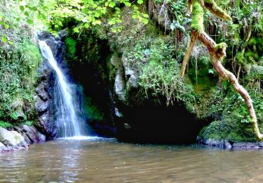 Trail Walking Enval - Enval_Gorges - Photo