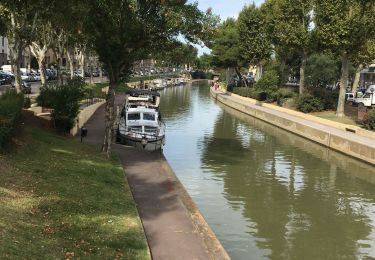Trail Walking Narbonne - La Robine  - Photo
