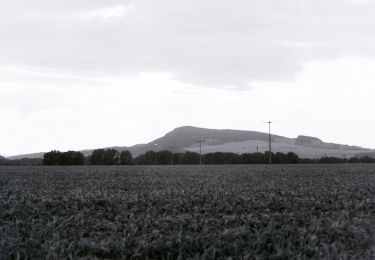 Tour Zu Fuß  - Kammweg Hörselberge (Grüner Strich) - Photo