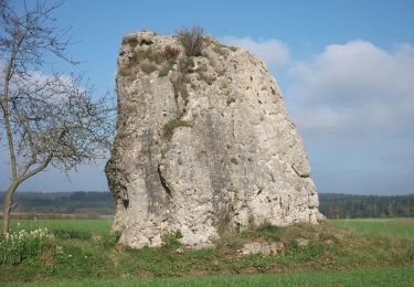 Excursión A pie Pilsach - Kreuz- und Felsenweg - Photo