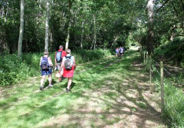 Percorso Marcia Sassetot-le-Mauconduit - Sassetot le Mauconduit 22.5Km Dén P 432m - Photo