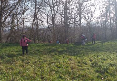 Tour Wandern Abos - ados G4 fait - Photo